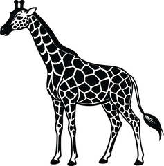 Abstract geometric pattern with bold colors and dynamic shapes transparent background