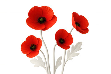 Fototapeta premium Four red poppies blooming with white stems and white leaves are featured on a transparent background