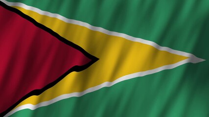 Celebrate Guyana's national pride and culture during Independence Day