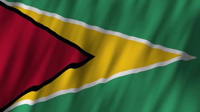 Celebrate Guyana's national pride and culture during Independence Day