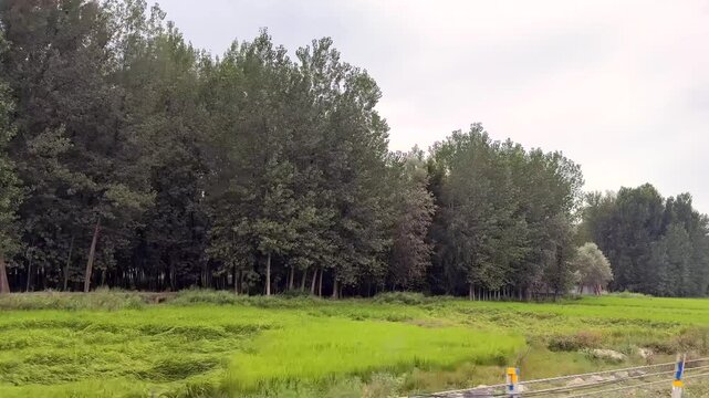 Water Floods in Kashmir India, Jhelum River Overflow, September 2025 Disaster, Rising Water Levels, Aerial Views, Affected Villages and Cities  Clip 127
