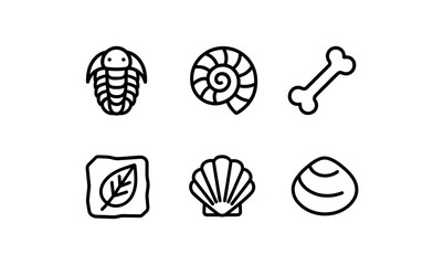 Linear fossil outline collection: trilobite, ammonite, shells, and bones