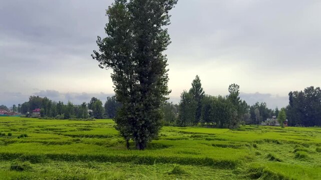 Water Floods in Kashmir India, Jhelum River Overflow, September 2025 Disaster, Rising Water Levels, Aerial Views, Affected Villages and Cities  Clip 136