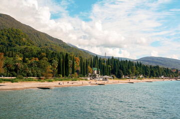 A picturesque Mediterranean bay where towering cypress trees frame a secluded beach, their dark silhouettes contrasting with the turquoise waters and golden sands.
