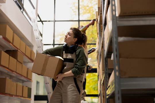 Woman focused on in house shipment operations carrying cardboard boxes for dispatch and ensuring e-store logistics. Staff processing orders and preparing parcels, meeting retail standards.