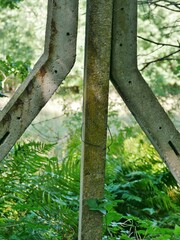 Grenzbefestigung DDR auf R&uuml;gen 