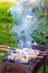 Smoky grilled meat skewers on barbecue