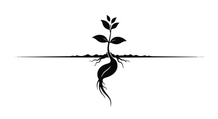 Symbolic illustration of a plant growing from a seed with roots, representing new life and growth.