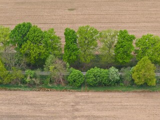 Luftbild einer Baumreihe, Bäume im Frühling zwischen Ackerflächen, Felder, Acker, Kulturlandschaft