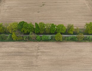 Aerial view of a row of trees, trees in spring between fields, fields, arable land, cultural landscape
