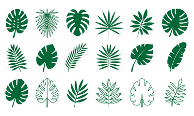 ropical leaves, palm leaves silhouettes, diverse collection, black shapes, design elements, artistic embellishments, leaf vector