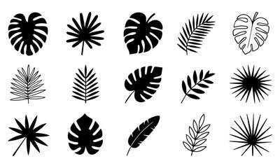 ropical leaves, palm leaves silhouettes, diverse collection, black shapes, design elements, artistic embellishments, leaf vector