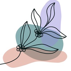 butterfly on a white background