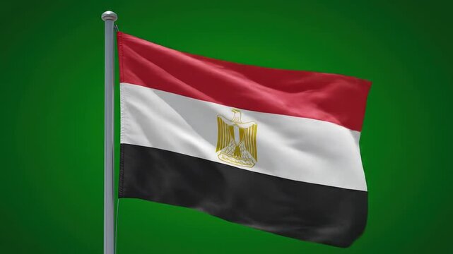 Egyptian flag waving