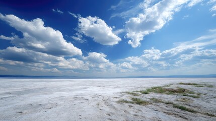 Obraz premium A vast salt flat stretches out under a brilliant blue sky. Fluffy white clouds drift above, while patches of green grass peek through the white salt crust, creating a peaceful atmosphere