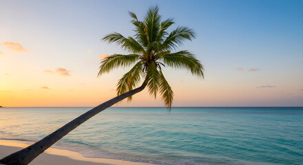 Serene tropical beach at sunset with leaning palm tree and tranquil turquoise ocean waves