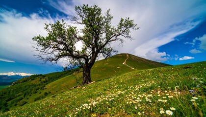 Lush hillside with a lone tree