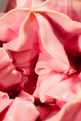 Frozen Strawberry Ice Cream Melting Under Summer Sunlight