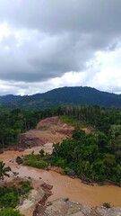Lush jungle landscape meets a muddy river
