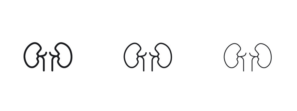 Kidneys icon vector Logo Designs - Stock vectors.