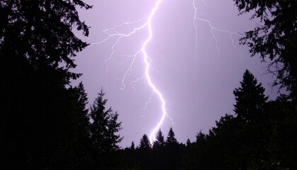 Dramatic Lightning Strike Illuminating Forest Silhouette Against Purple Sky