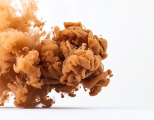 Ethereal Abstract Composition Of Brown Paint In Water Against White Background