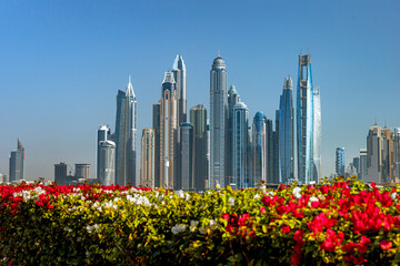 Skyscrapers rise above vibrant flower beds in Dubai city skyline during bright daylight hours