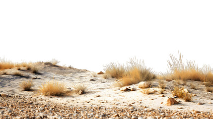 arid desert landscape with dry vegetation and rocks isolated on white background