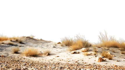 arid desert landscape with dry vegetation and rocks isolated on white background