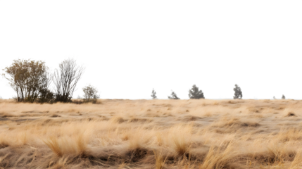 dry landscape with sparse vegetation isolated on white background