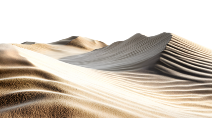 sand dune landscape in a desert isolated on white background