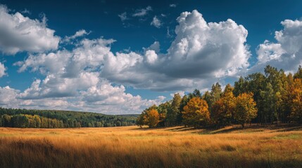 Scenic Autumn Landscape Rolling Hills, Golden Fields, and Dramatic Sky