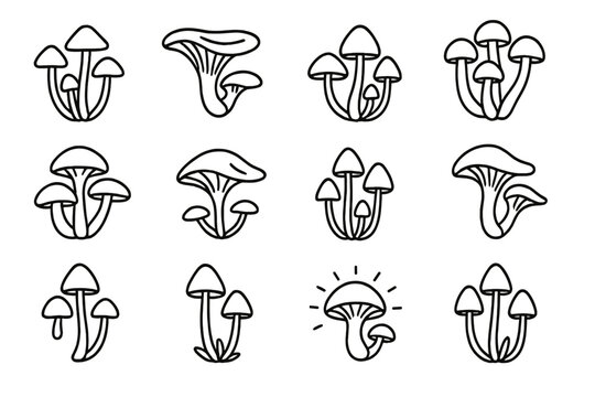Bioluminescent Fungi Icons. Outline icon set of Bioluminescent fungi species: Mycena chlorophos, Omphalotus olearius, Panellus