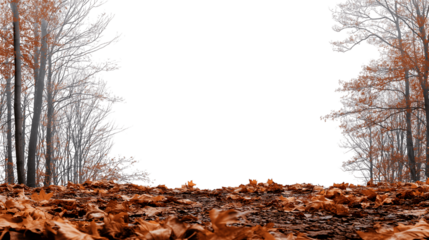 Forest trail framed by trees in autumn isolated on white background