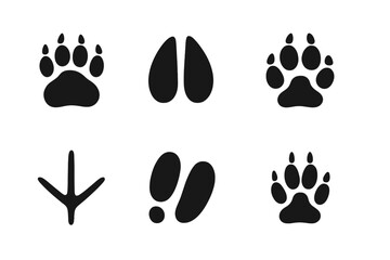 Fototapeta premium Animal Tracks Icons. Solid, filled icon set of animal tracks: bear paw print, deer hoof print, wolf paw print, bird footprint,