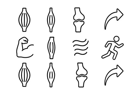 Muscle Movement Icons. Outline icon set of how muscles move: bicep icon, tendon, joint, arrow movement, flexed