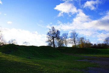 Autumn, autumn park with fallen leaves