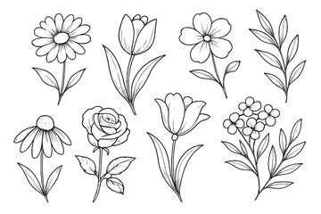 Flower line art set. Hand drawn botanical sketch illustration. Floral outline collection with rose, tulip, daisy. Vector design elements for coloring book, wedding invitation.