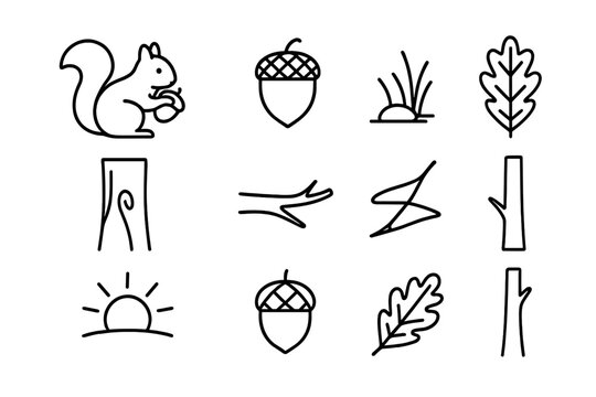 Squirrel Icon Set. Outline icon set of squirrel gathering acorns: squirrel, acorn, forest floor, oak leaf,