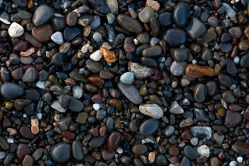 A rocky beach with many scattered stones. The stones are wet, of different sizes and colors, creating a varied and interesting landscape.