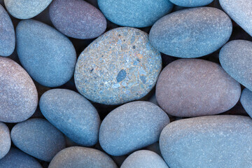 Pebbles stones on seashore as  texture background for design of web banner template page. many stones and they are different in color and size, dry stones illuminated by sun