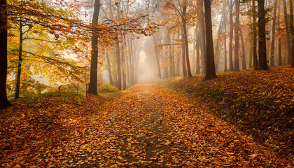 Fototapeta premium Serene Autumn Landscape With Falling Leaves Tranquil Forest Path And Soft Mist In The Background