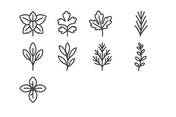 Herb Outline Icons. Outline icon set of garnish varieties: mint sprig, cilantro sprig, parsley sprig, rosemary