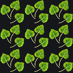 葉ワサビのシームレスパターン　手描き水彩イラスト背景素材