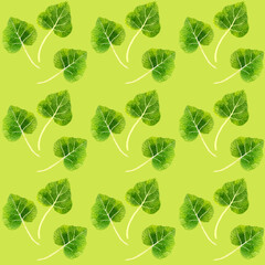 葉ワサビのシームレスパターン　手描き水彩イラスト背景素材