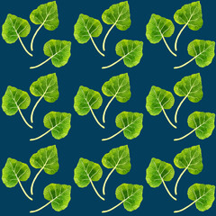 葉ワサビのシームレスパターン　手描き水彩イラスト背景素材