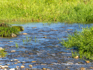 河原を流れる猪名川の風景