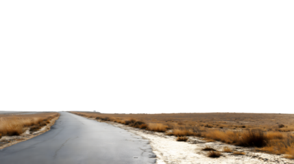 road leading to the horizon in arid landscape isolated on white background