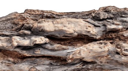 Close-up of weathered and textured rock formation isolated on white background