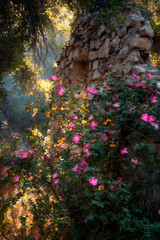 A serene rocky cliffside adorned with vibrant pink flowers and lush greenery in a natural setting